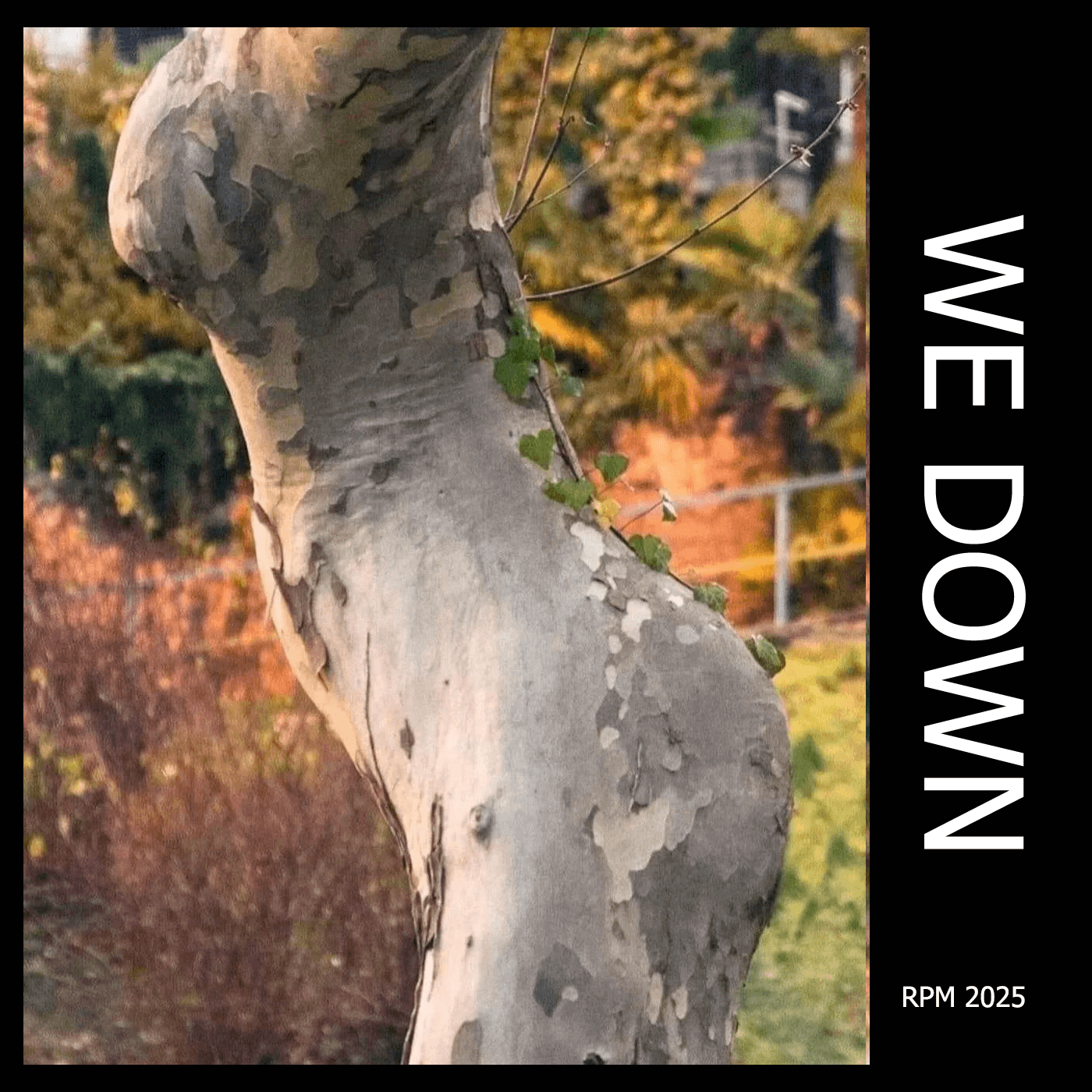 Petty Vendetta - 2025