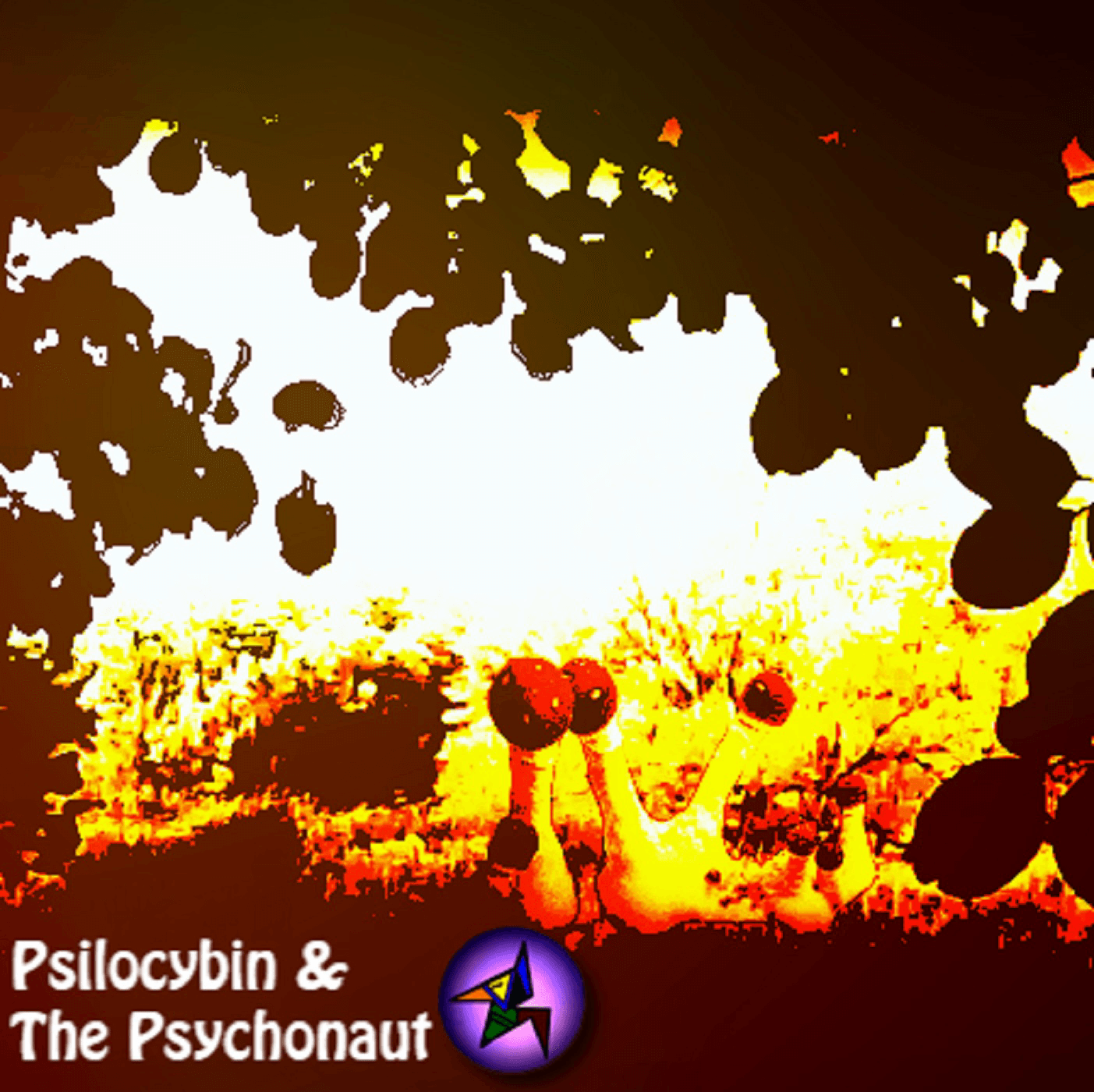 The Irregular Decagon - 2023