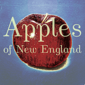 Apples of New England - 2024