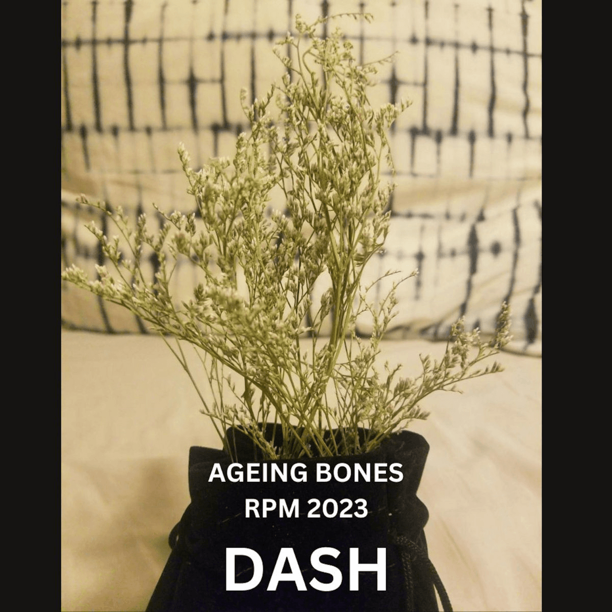 AGEING BONES - 2023