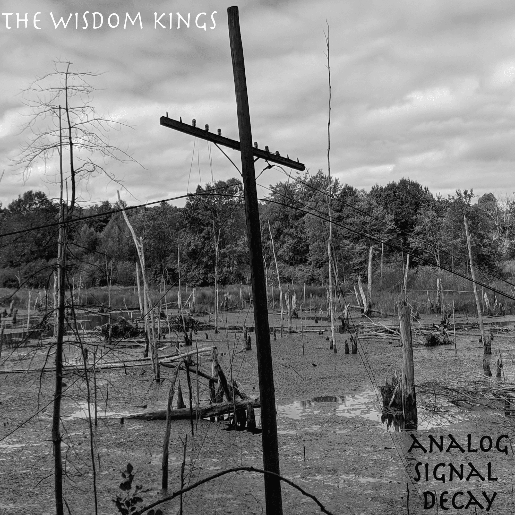 The Wisdom Kings - 2021
