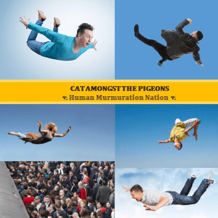 Cat Amongst The Pigeons - 2023