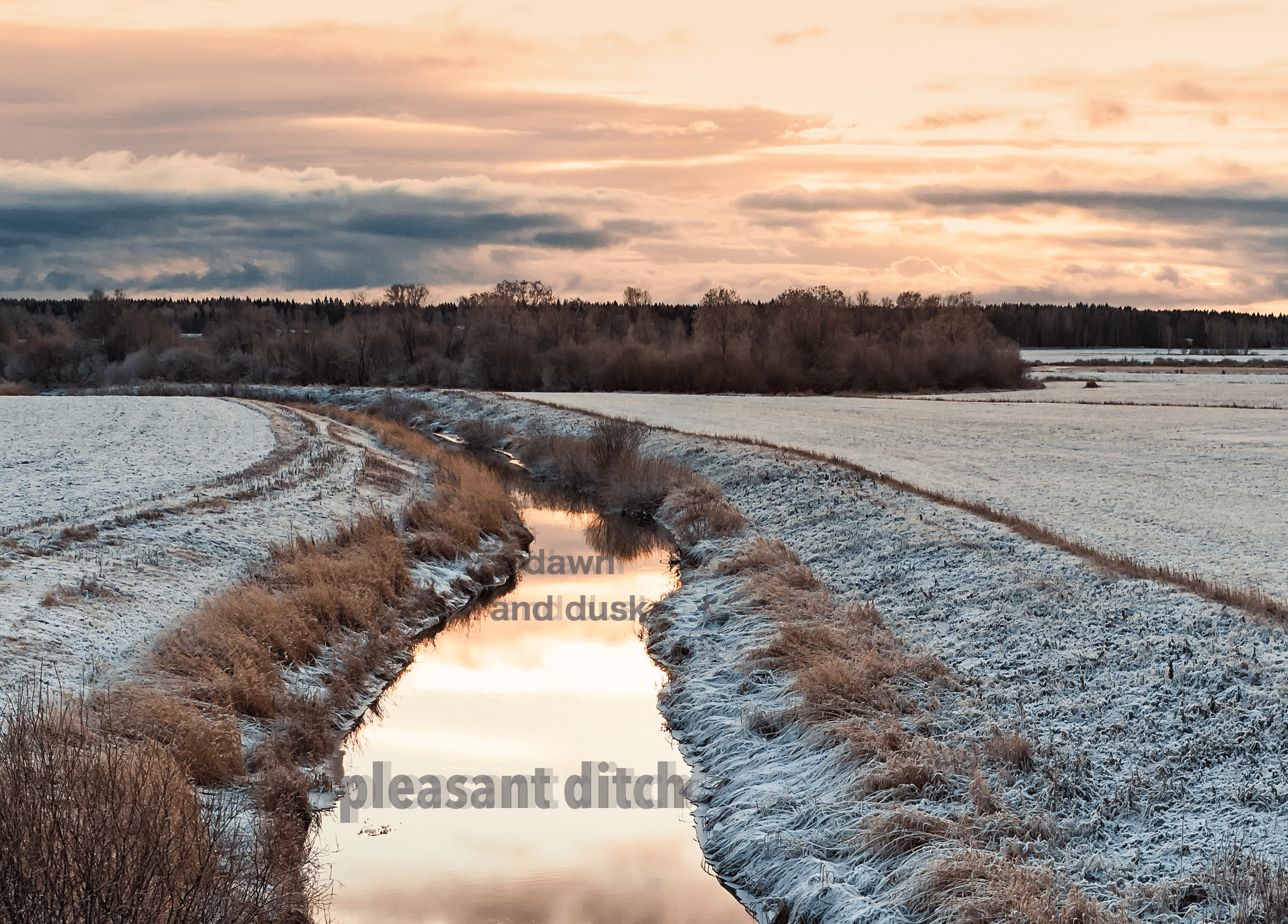 Pleasant Ditch - 2022