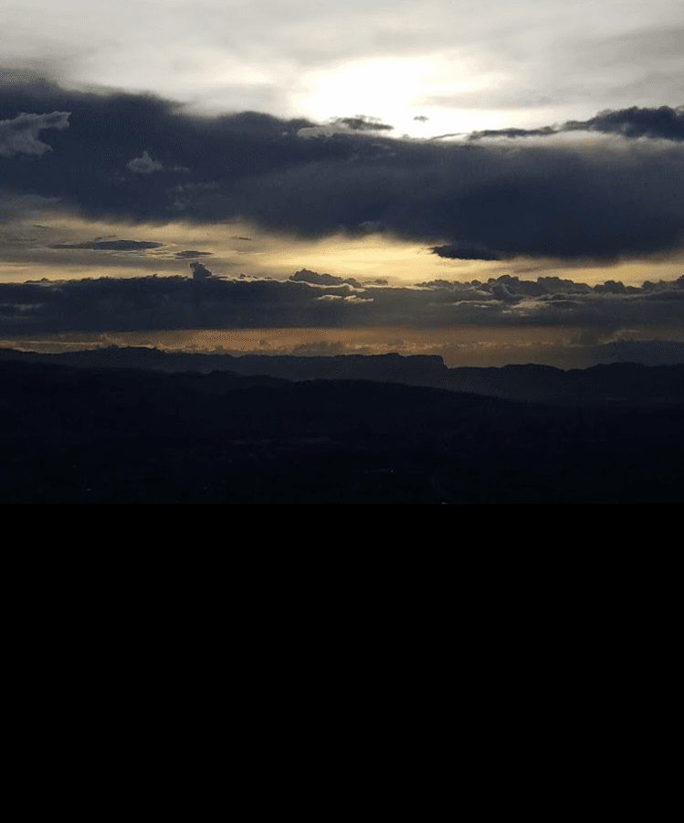 Prolific Spirits - 2024