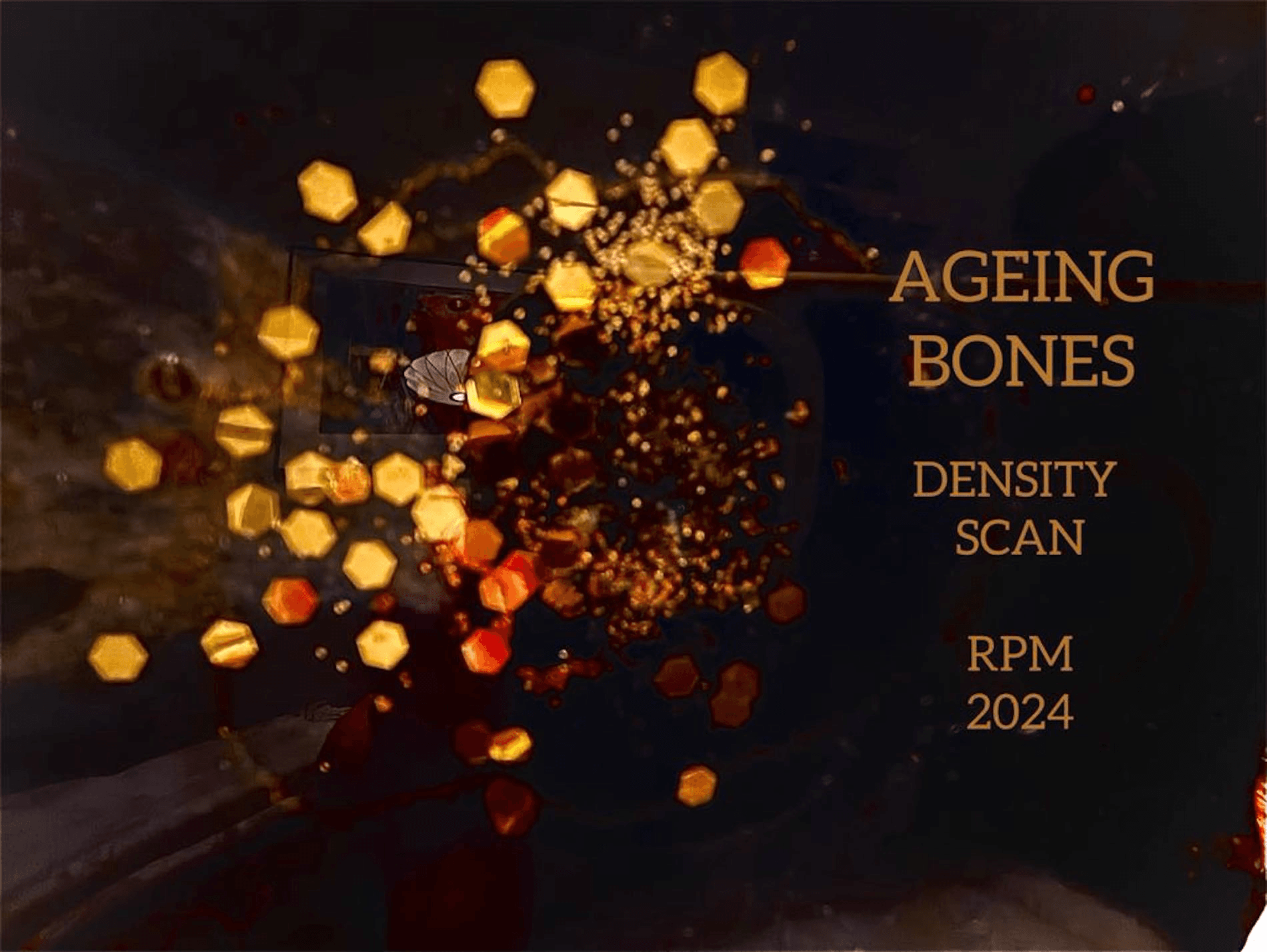 AGEING BONES - 2024