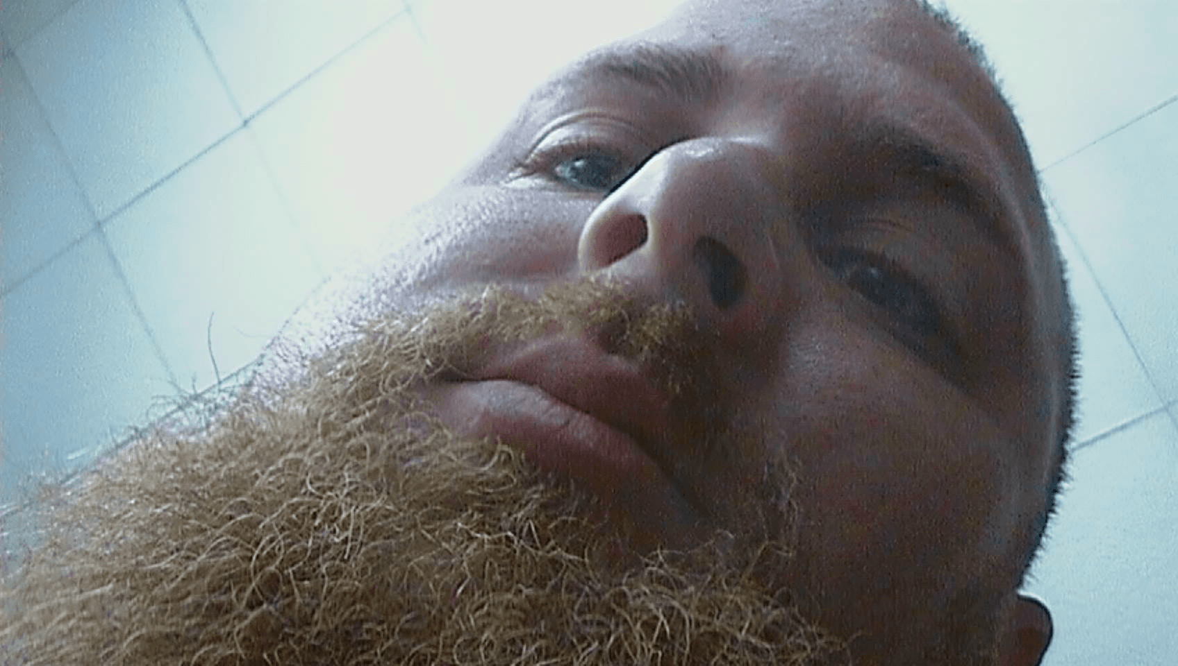 Forward Observer - 2022