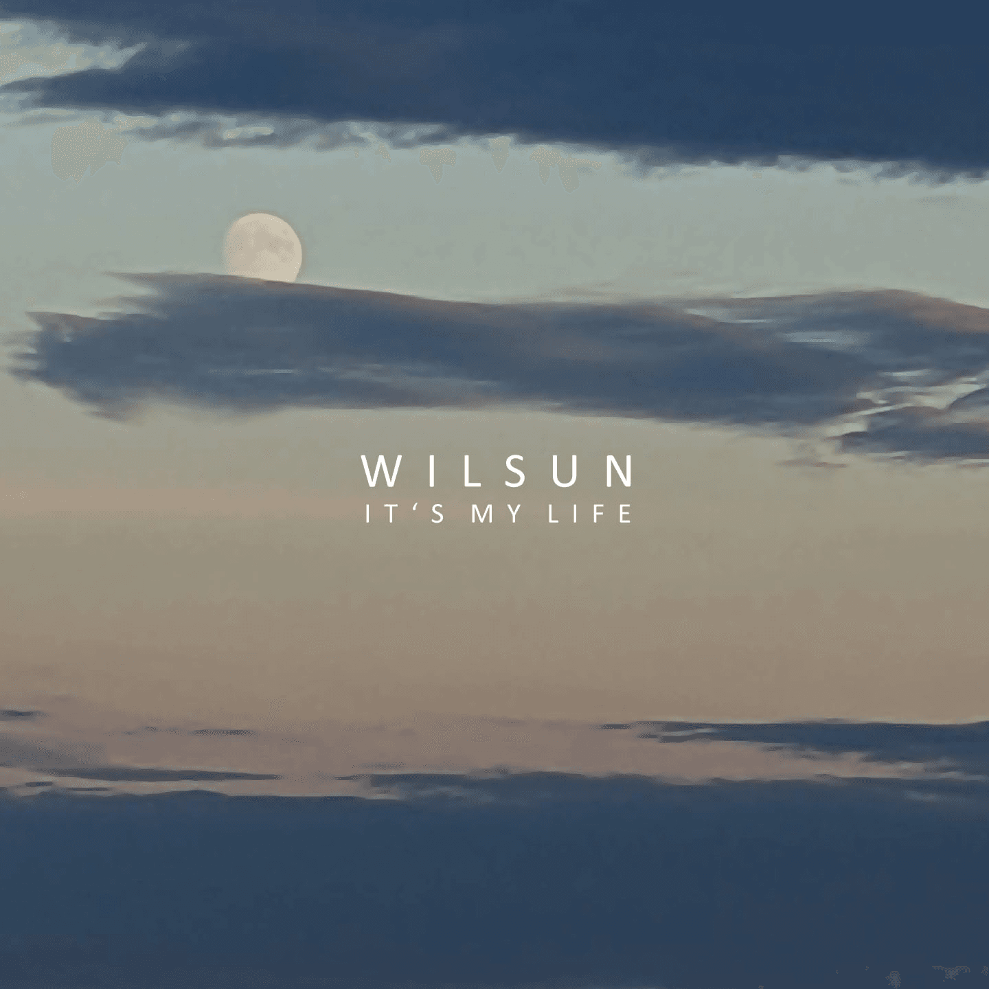 Wilsun - 2024