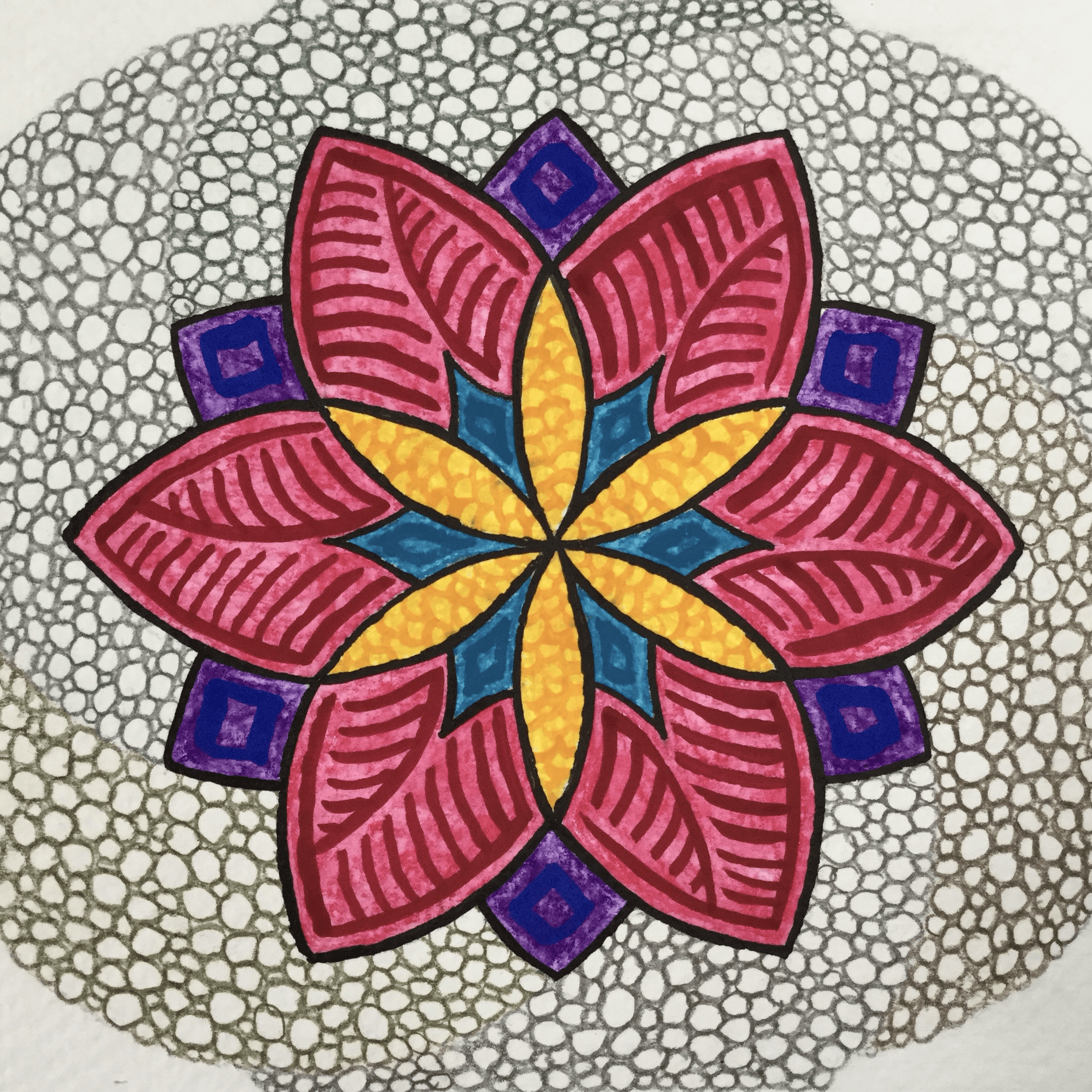 Bertie Koller - 2025