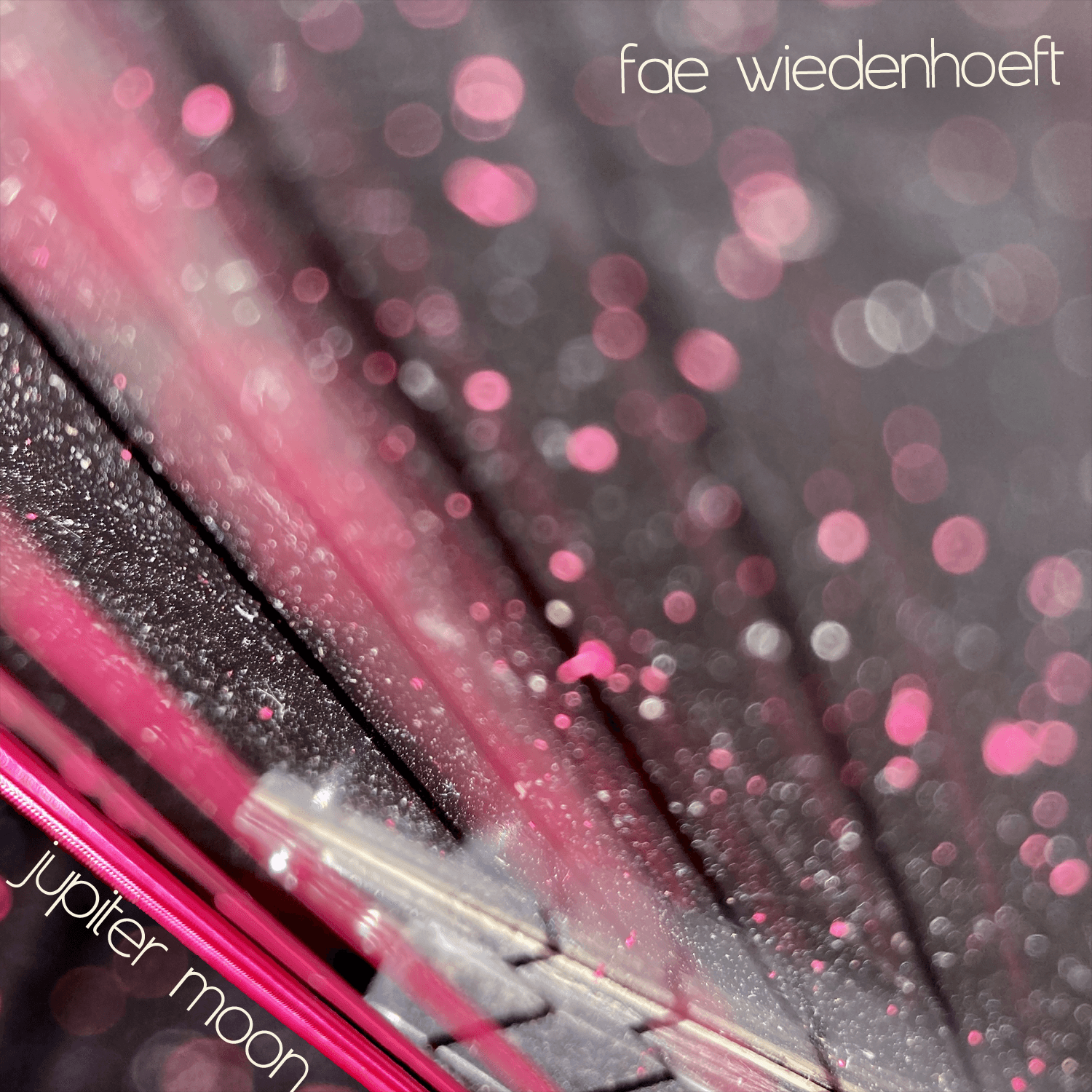 Fae Wiedenhoeft - 2025