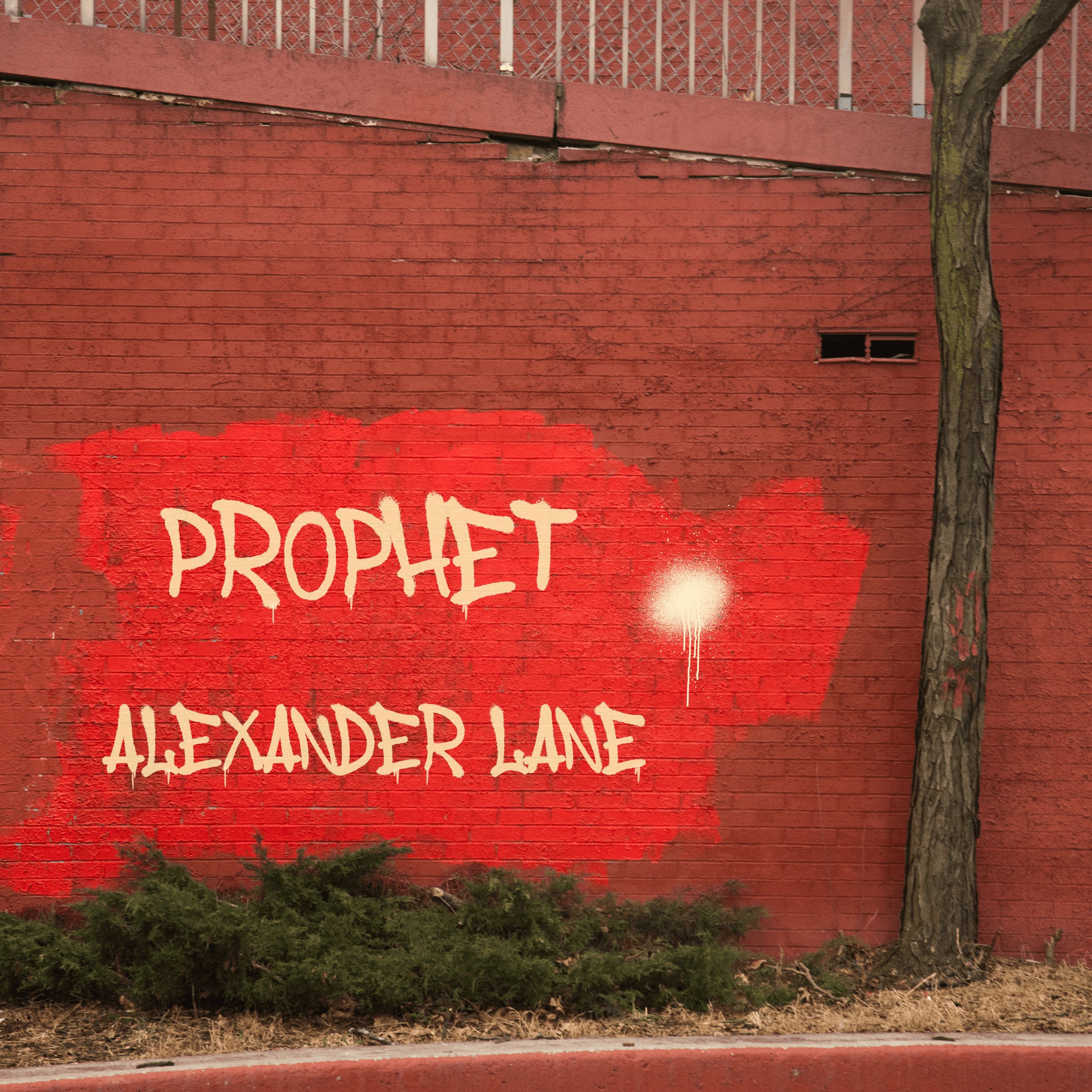 Alexander Lane - 2022